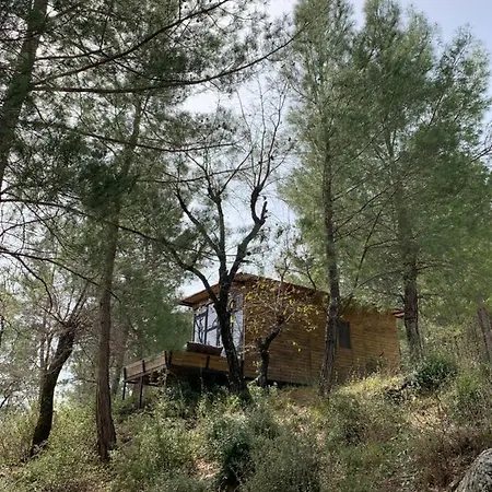 Sens Bungalows & Tents